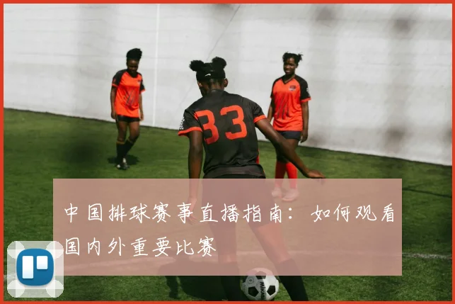 中国排球赛事直播指南:如何观看国内外重要比赛