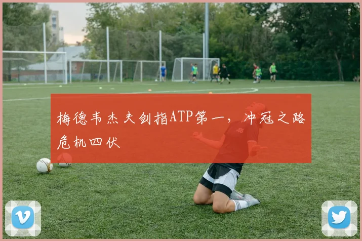 梅德韦杰夫剑指ATP第一,冲冠之路危机四伏