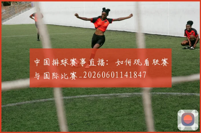 中国排球赛事直播:如何观看联赛与国际比赛_20260601141847