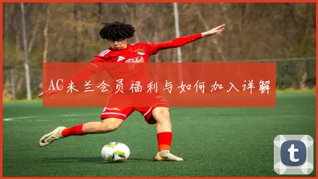 AC米兰会员福利与如何加入详解
