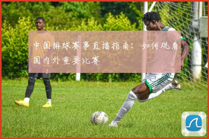 中国排球赛事直播指南:如何观看国内外重要比赛