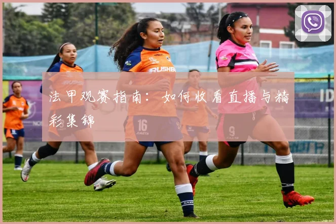 法甲观赛指南:如何收看直播与精彩集锦