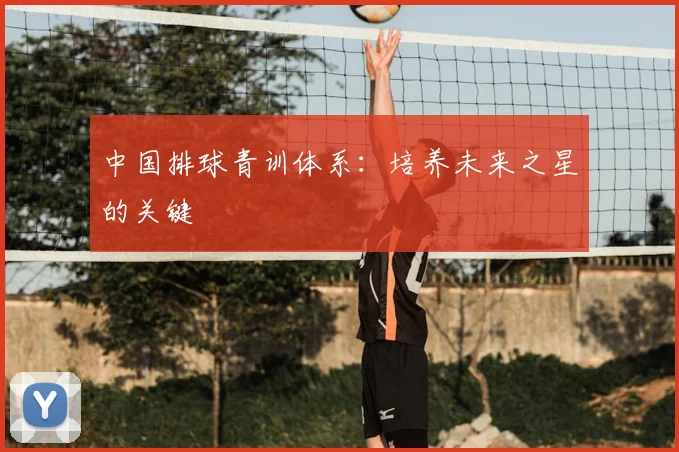 中国排球青训体系:培养未来之星的关键